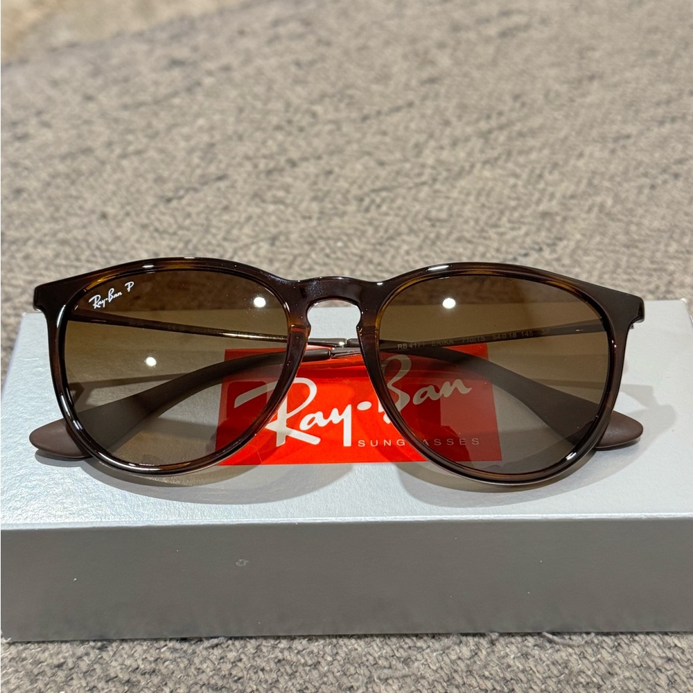 Ray-Ban Erika Polarized Sunglasses